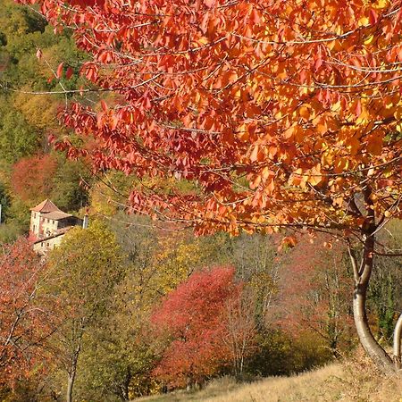 Casa Etxalde Pension Camprodon Buitenkant foto