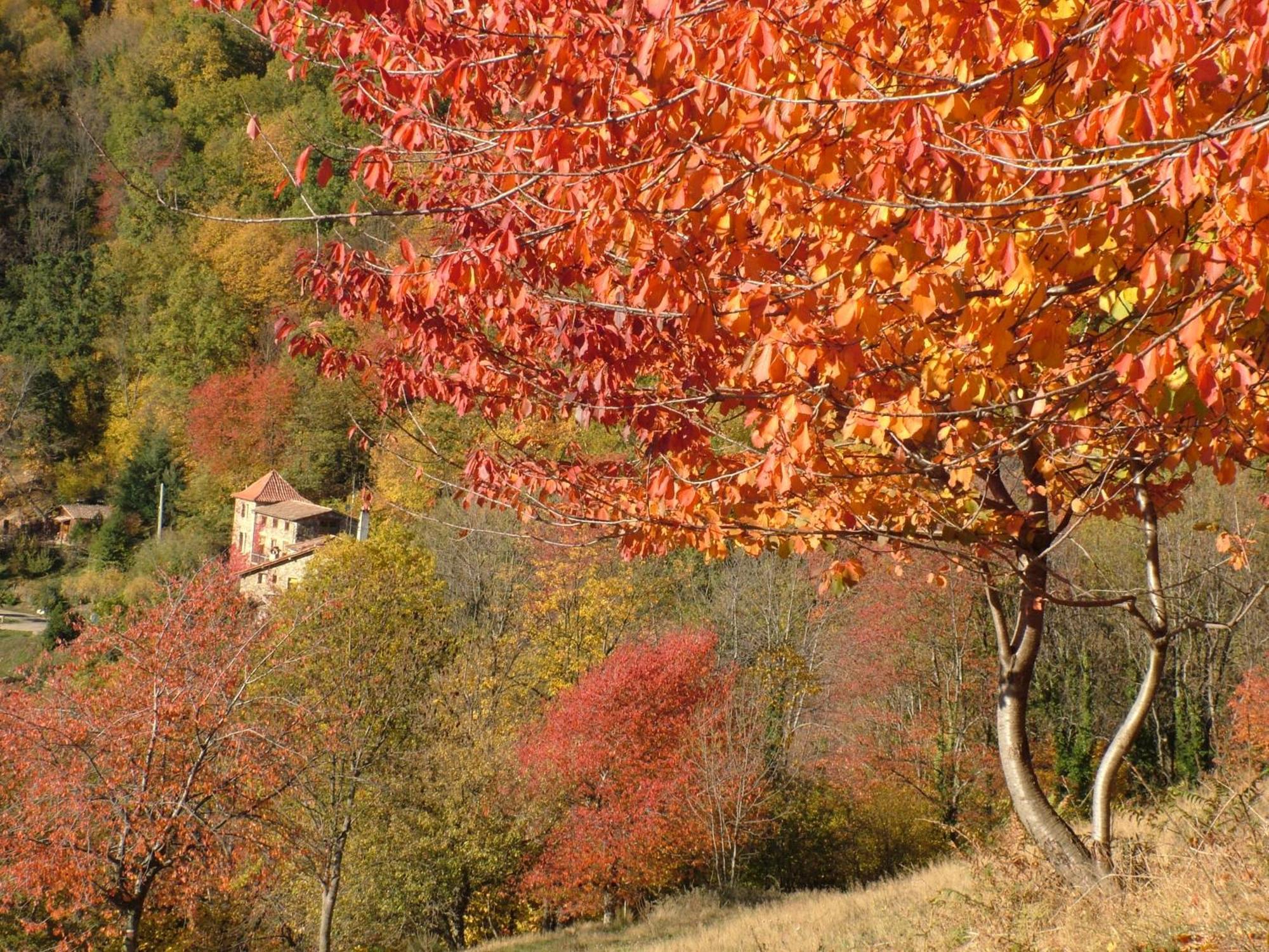 Casa Etxalde Pension Camprodon Buitenkant foto